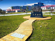 鹤岗天华矿业集团