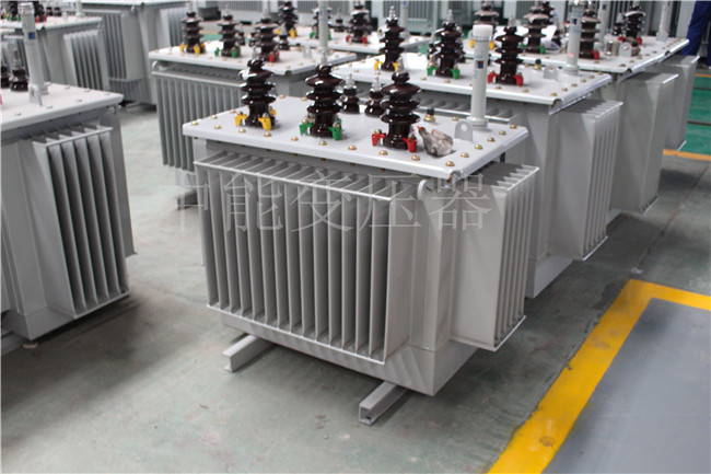 鹤岗S22-250KVA/10KV变压器